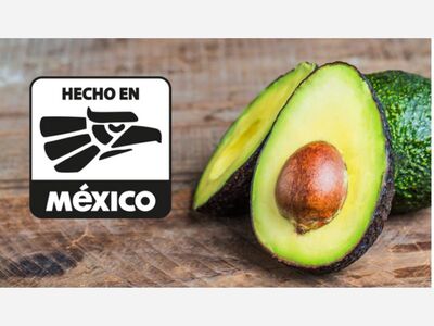 ¿Sabías que?... El aguacate mexicano