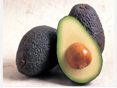 AGUACATE MEXICANO: MANJAR INDISPENSABLE AL PALADAR ESTADOUNIDENSE