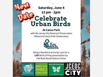 CLUB DE ORNITOLOGÍA