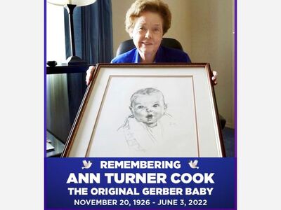 ¿SABÍAS QUE?... Ann Turner Cook, la bebé Gerber